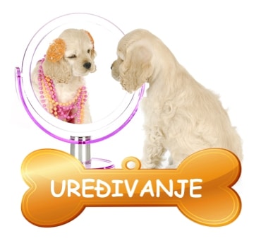 uredjivanje-pasa-salon-dona